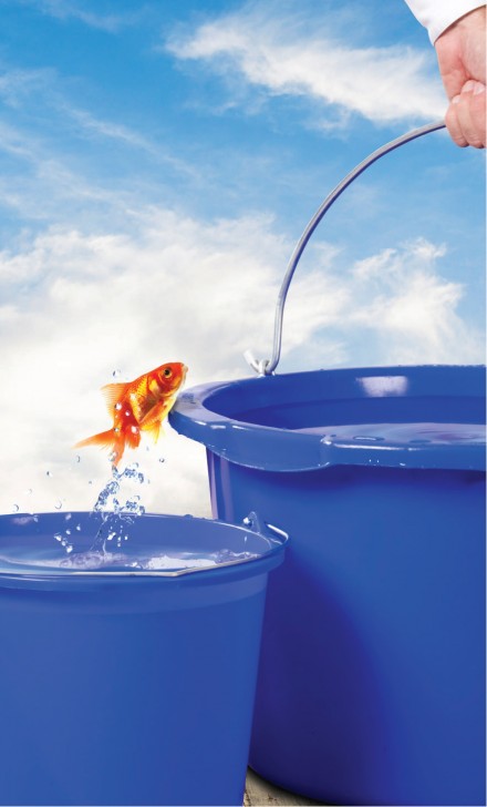 Zdj. 3. Nasze produkty są nie tylko ekologiczne, ale i lżejsze, bezpieczne oraz higieniczne.